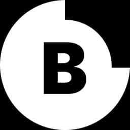 BIGR AI