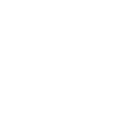 Attention Culture