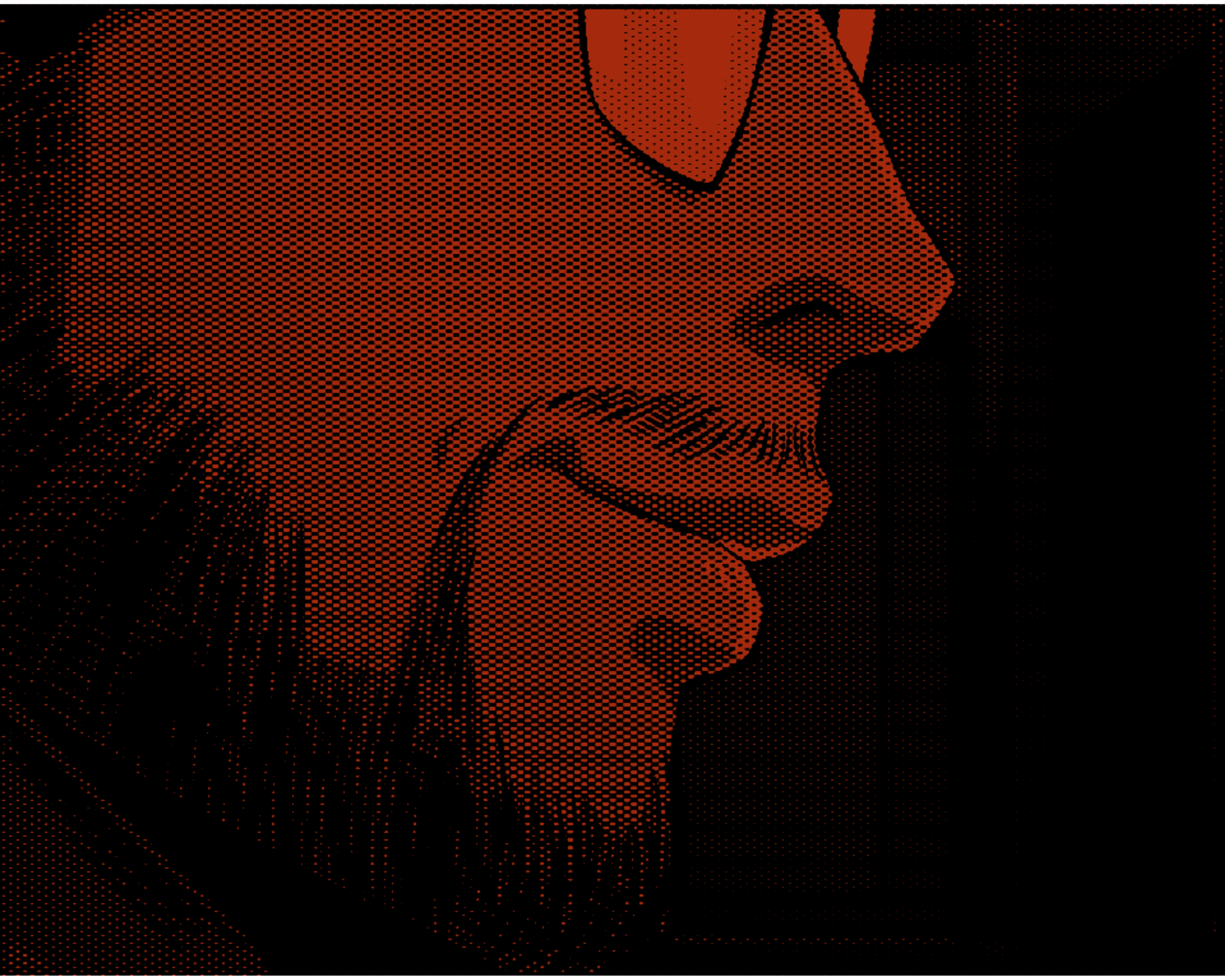 Storytelling through multi-media content